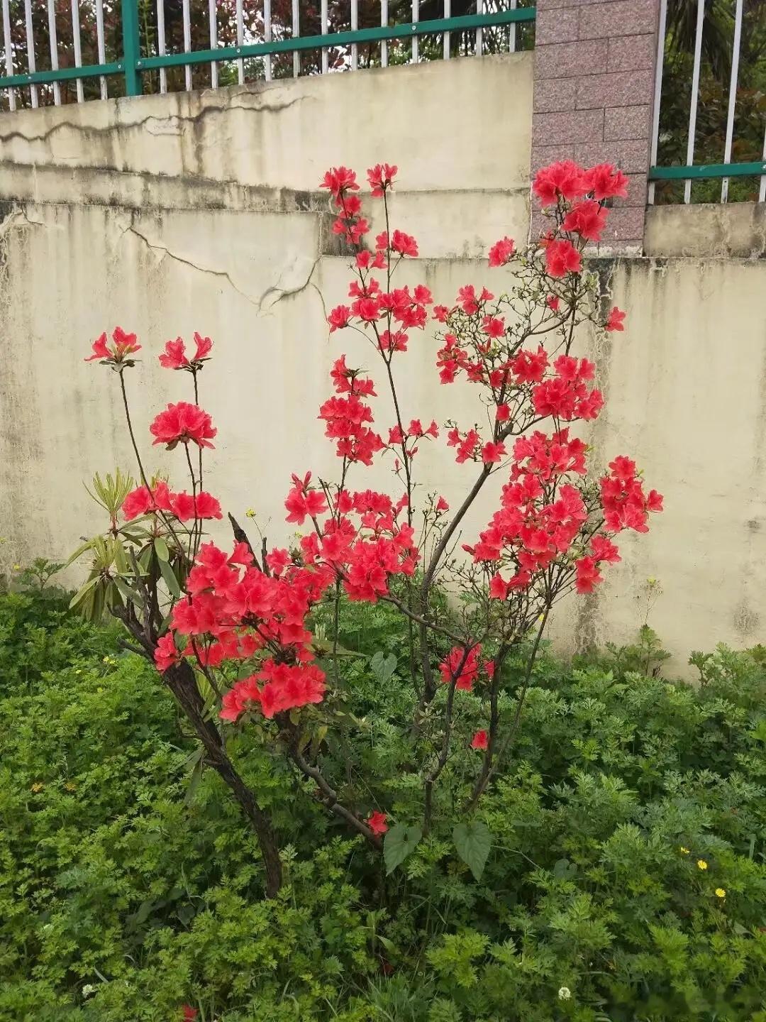 A股到底能不能赚钱呢？看到眼下市场这样的下跌大家的回到会一致的认为，很难赚钱。今