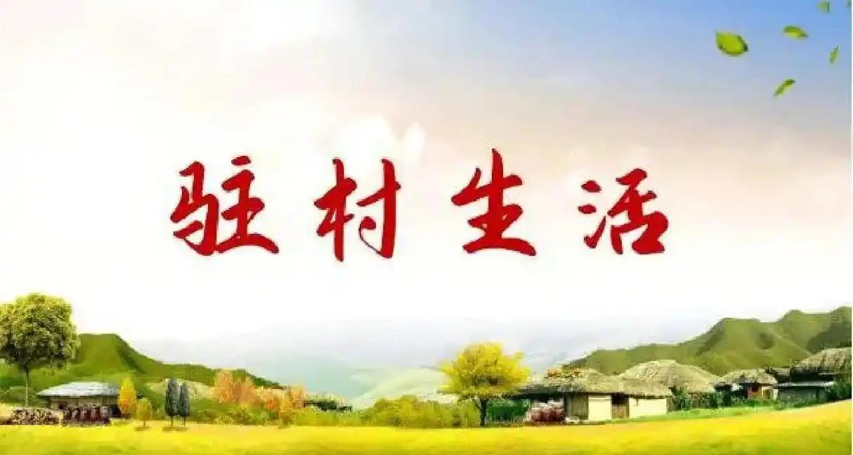 驻村补助每月2300，折算下来一天差不多100块，不少驻村干部说，这笔额外