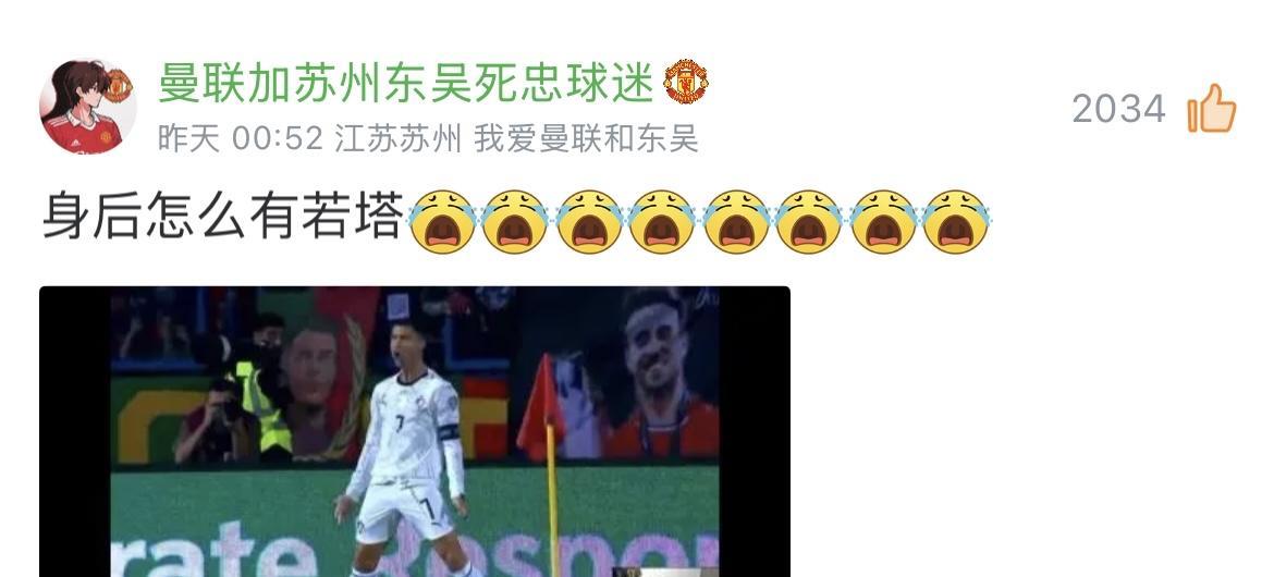 世预赛C罗进球，跑到角旗区做Siu庆祝，当时他身后有球迷展开了一张若塔的头像，成