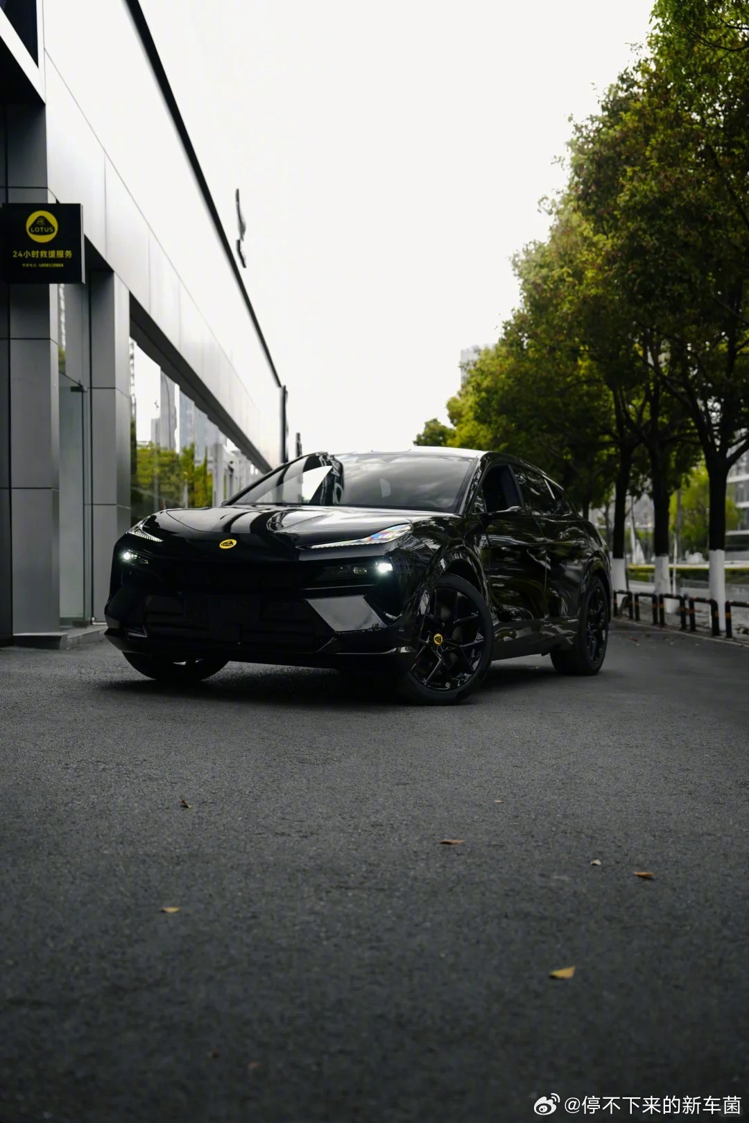 LOTUS好像很懂我们，怎么每款都这么好看