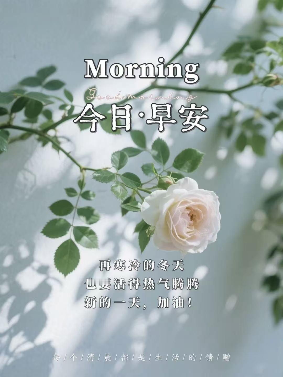 言語不多留芬芳，問候簡單情意長，有人牽掛心中暖，清晨祝福送吉祥。早上好！