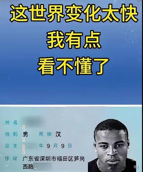 汉族的自豪,不是挂在嘴边的傲气,是刻在骨子里的韧劲。你看,五千年风风雨雨,战乱没