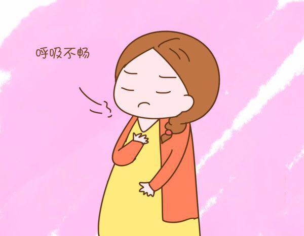 元旦小假期, 准妈妈不能不知道的衣食住行小贴士