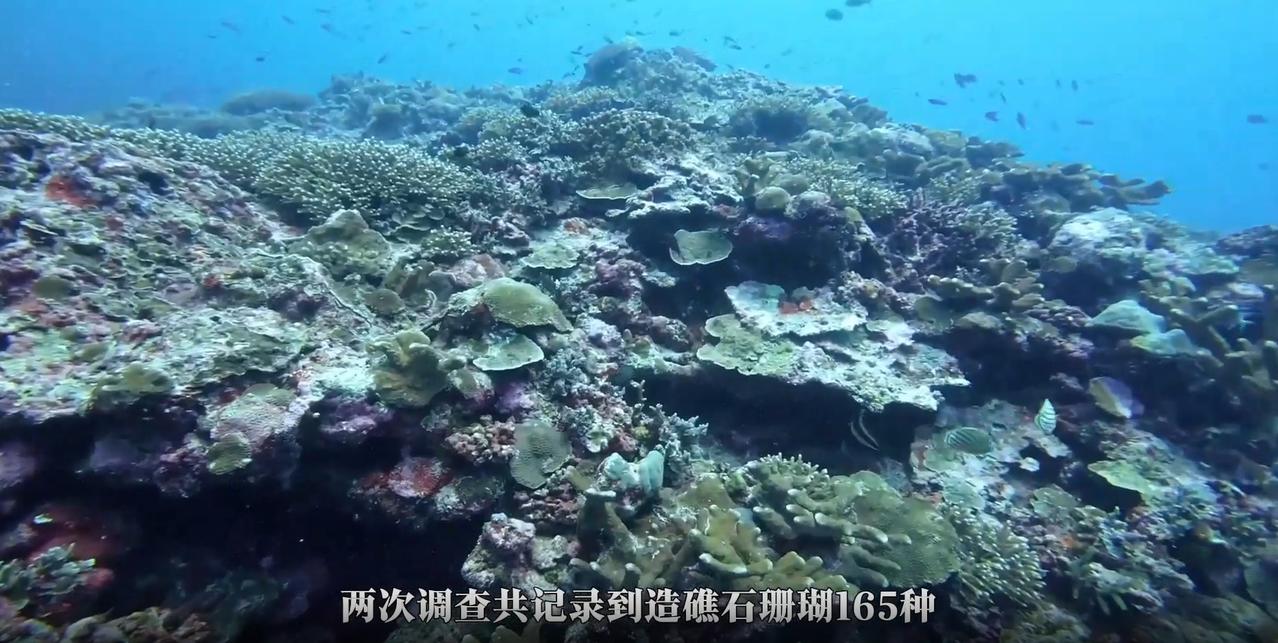 黄岩岛又有新发现！中国的第二个蓝洞，世界罕见，不愧是国家级自然保护区。6月2
