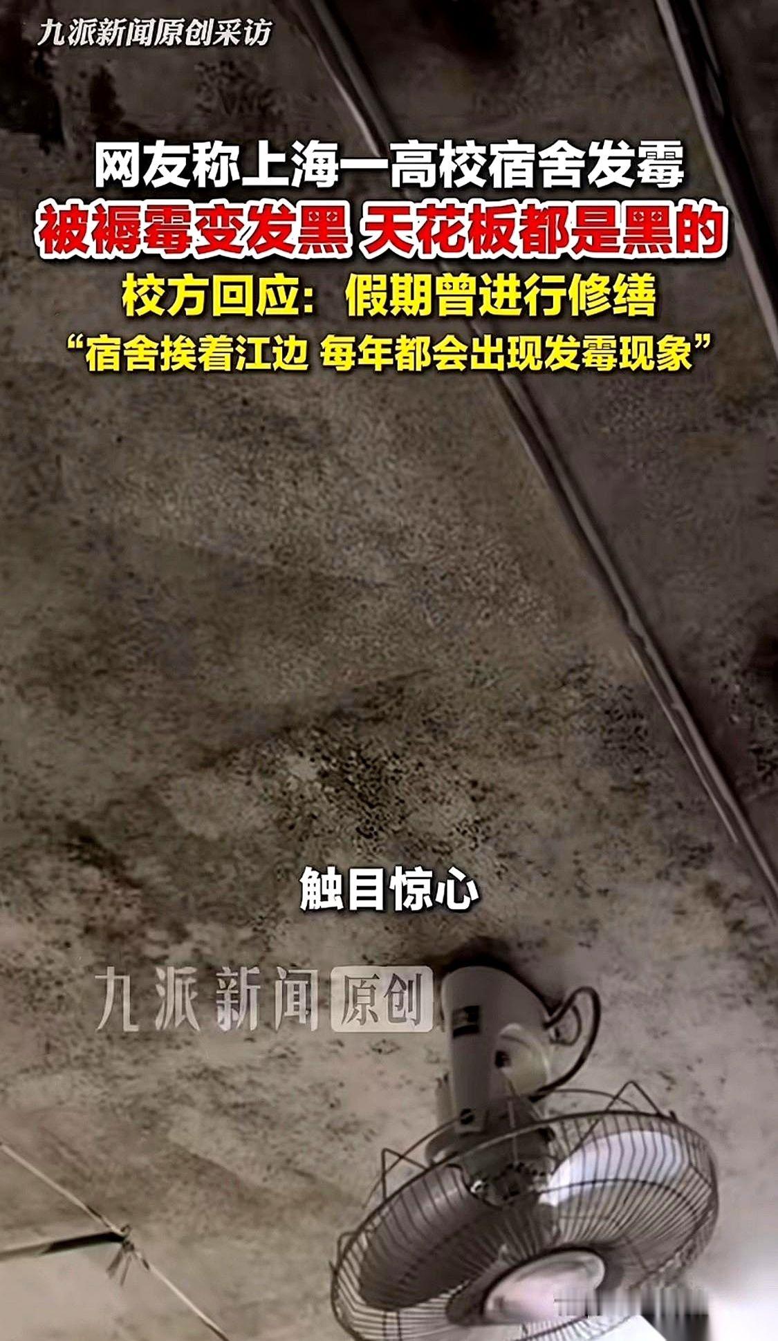网传一段视频，宿舍门一推开，黑绿色的菌斑从床沿顺着墙皮一路往上爬。那股子捂了整整一个暑假的霉臭味，隔