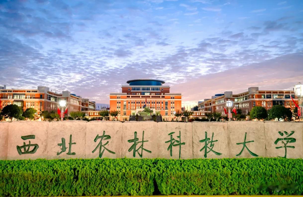 真正末流985是中央民族大学、中国海洋大学、西北农林大学，因为这三所大学都属政策