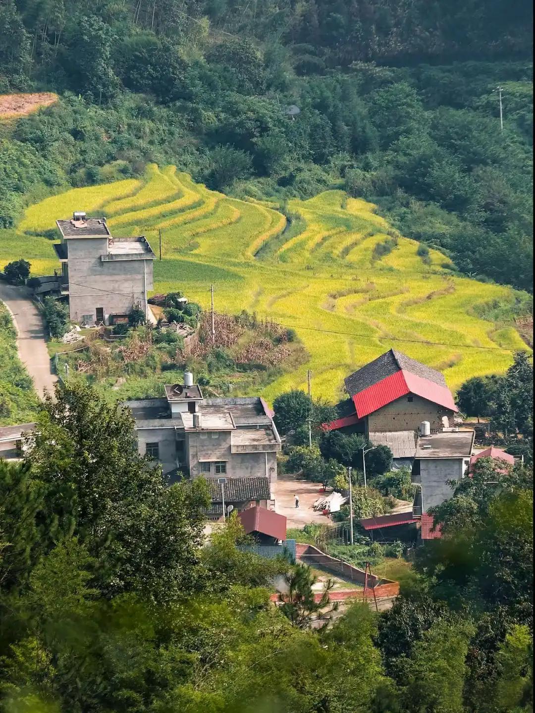 村里有个女唐氏儿，到了适婚年龄，竟然有很多人打听，她爸妈非但不高兴，反而慌了，竟