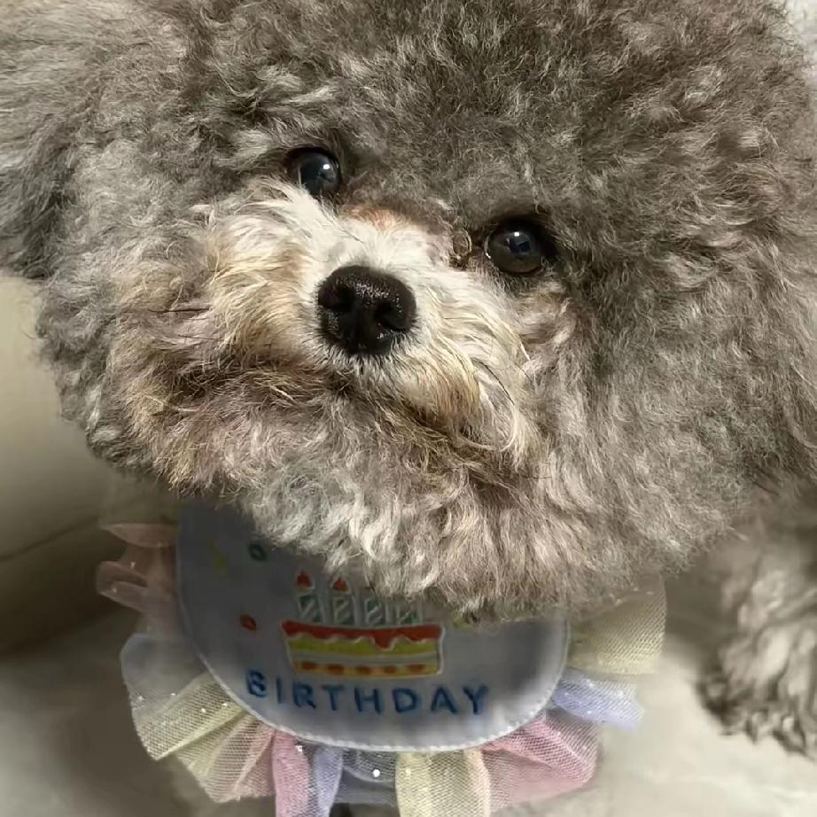 早上和老公因为孩子吵架，老公骂我爸妈，我没和他对骂，我跑到厨房告诉婆婆，我说你儿