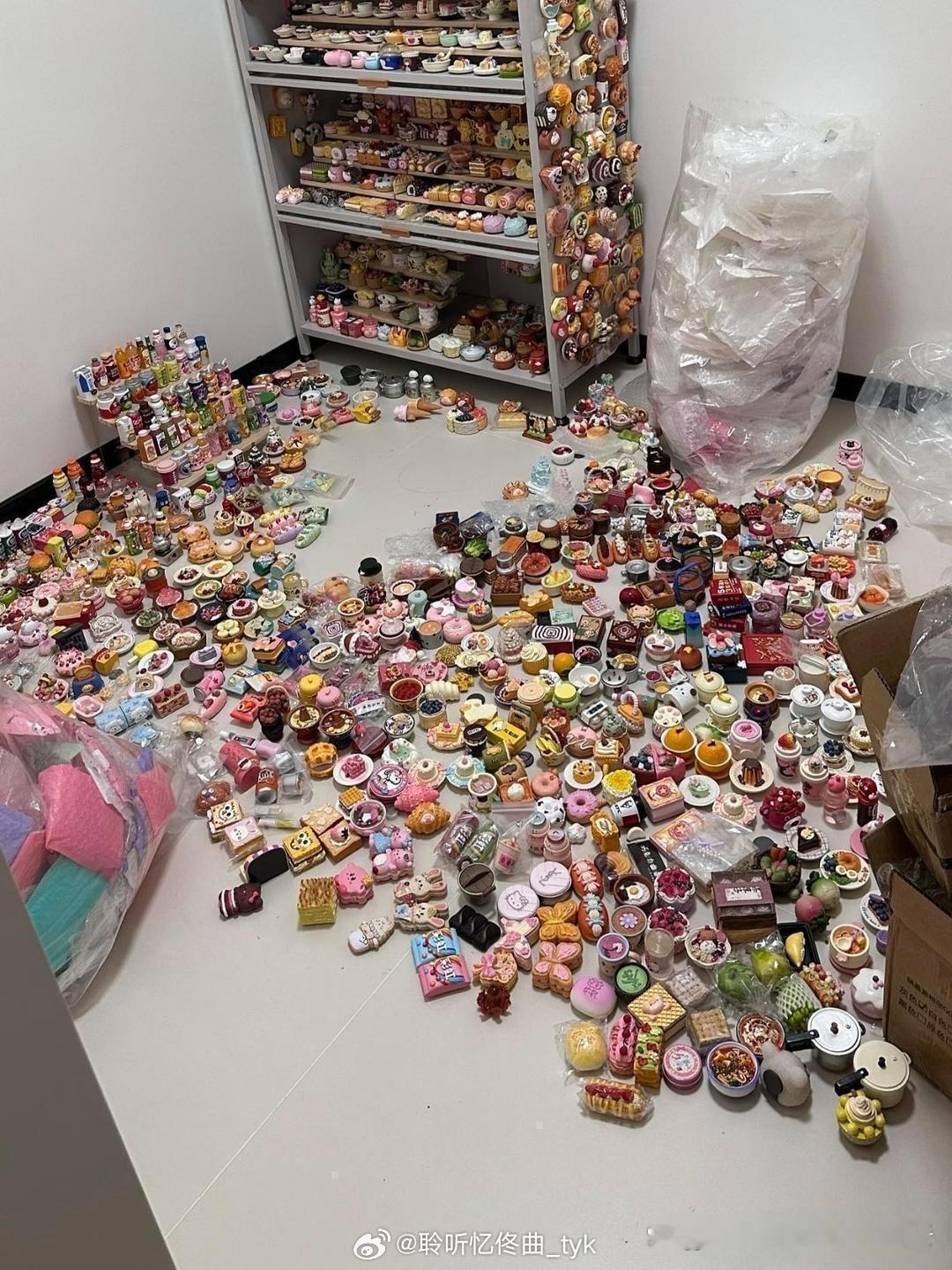 租客退房后留下的，直接看懵了，这啥呀？
