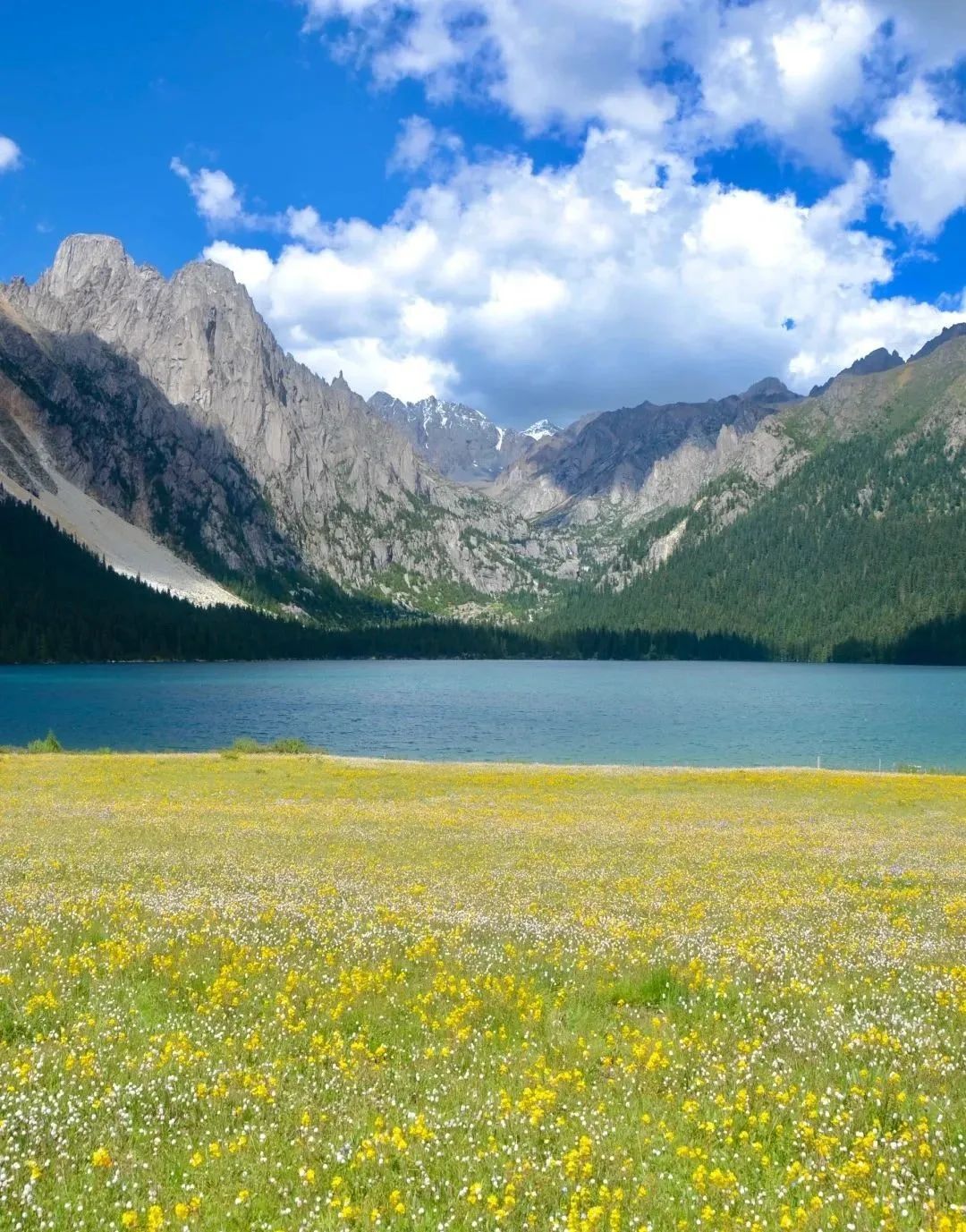 措普沟，一处隐匿于川西甘孜州腹地的自然瑰宝，此地，雪山矗立，草原辽阔，林海苍茫，