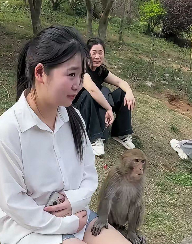 小猴子是懂些东西的。