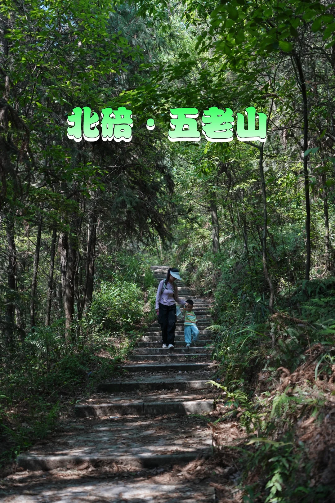 北碚五老山｜一条被严重低估了的路线