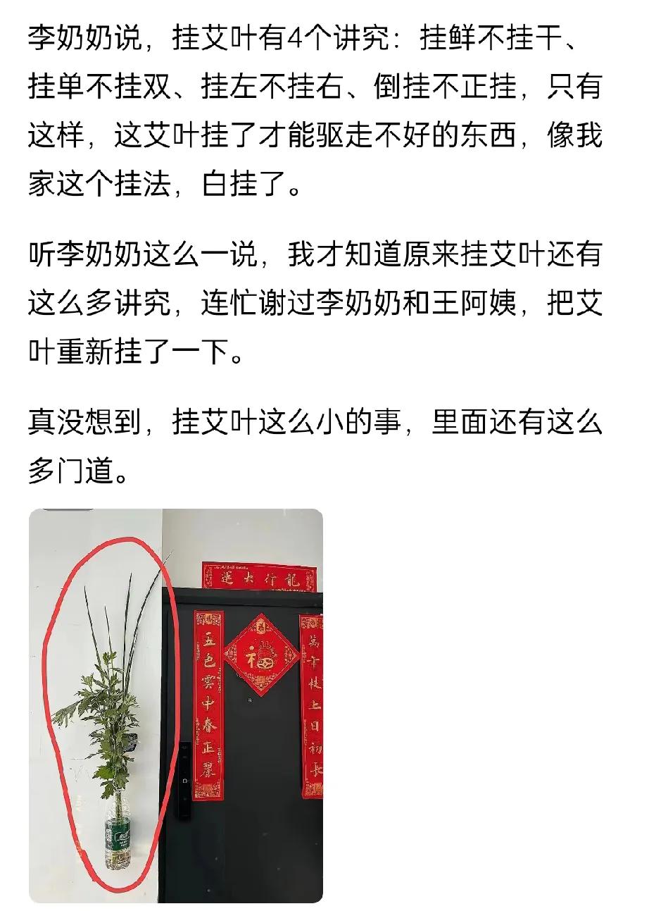 网友自创的端午插艾大法，把左邻右舍急得直跺脚。本来想着水培艾草放门边，这样叶子能