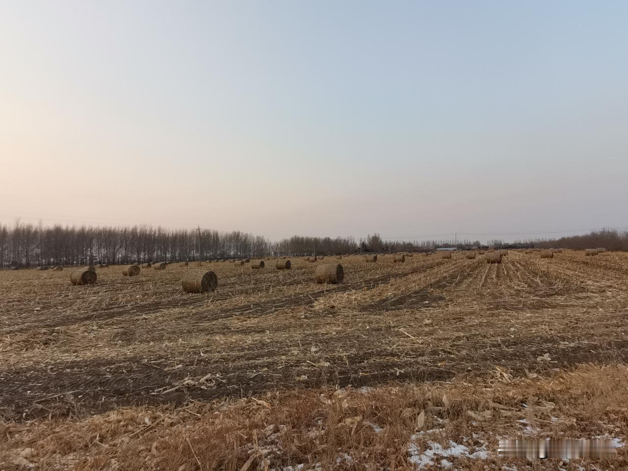 一到冬天，才发现最靠谱的不是羽绒服，不是奶茶店的暖气，而是自己那小破屋！外