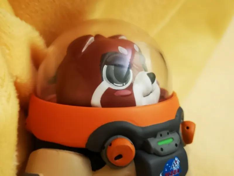 哇塞，四只“鼠鼠航天员”入住“天宫”啦，状态还相当不错！11月1日凌晨4时58分