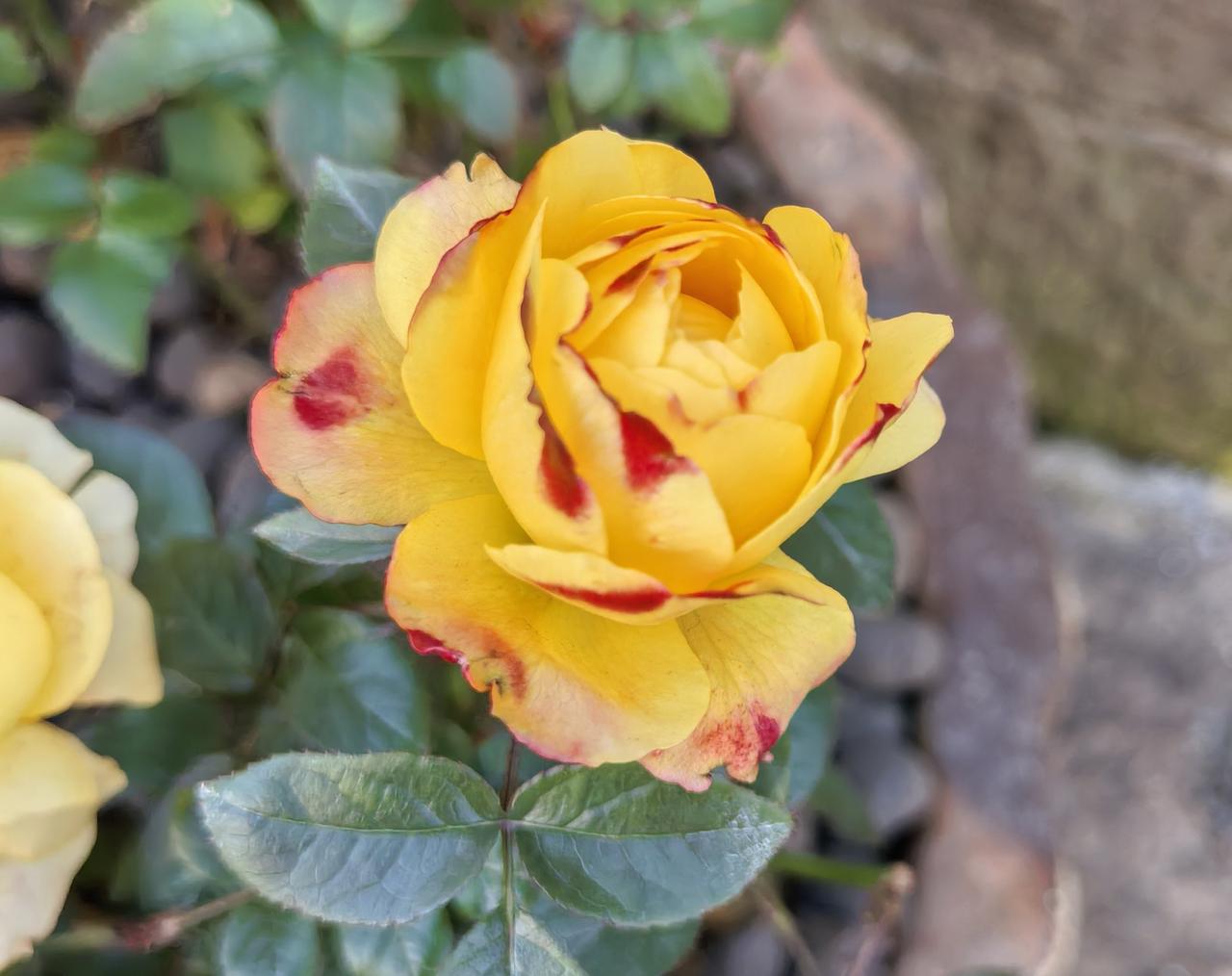 老公今天和朋友聚餐，回来和我说刚刚回来叫了代驾，是个89年的小姑娘。老公到家