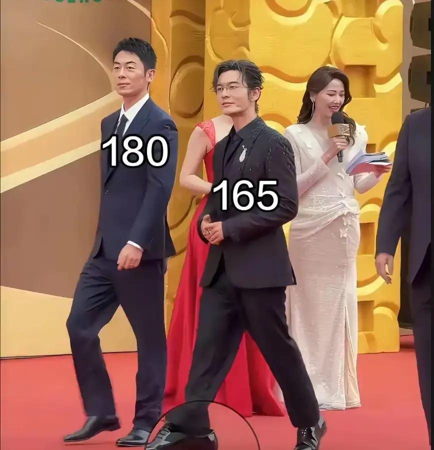 黄晓明179朱亚文184，这5厘米在红毯上像条河。我蹲过三次活动，亲眼见黄晓明