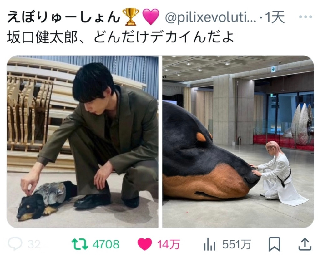 最近的烦恼是太火了​​​