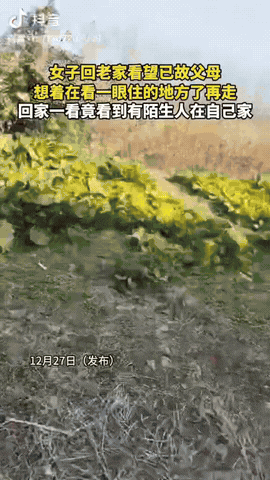 一女子回老家给已故父母上坟，没想到她看了一眼老房子，打开门一看，自己的家中竟然住