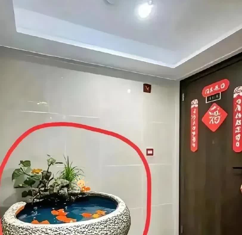 河南，一名女子的邻居在楼道里放了一个巨型鱼缸，里面养着好多鱼儿，此外，她还在鱼缸