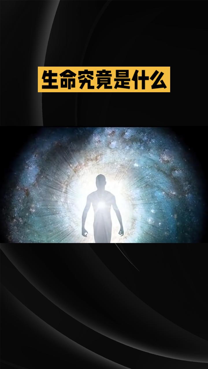 生命的本质是什么生命的本质，并非单纯的物质存续，而是能量流动、信息传递与自我超越