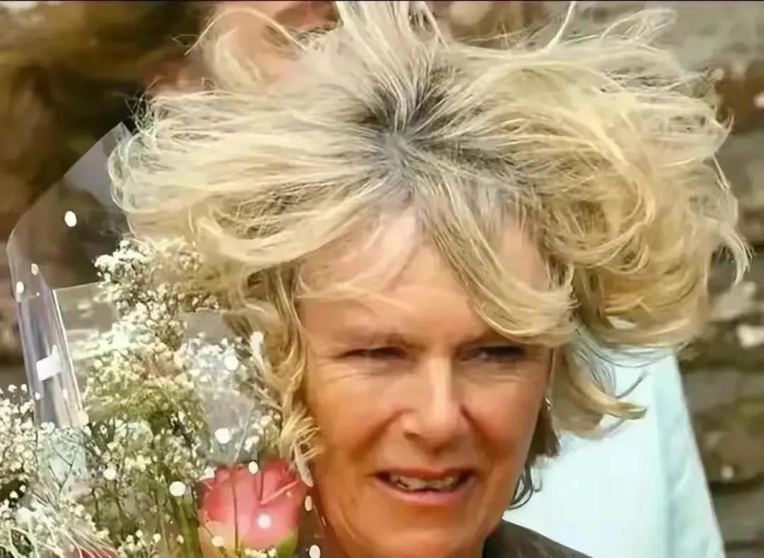 就算卡米拉再会筹谋，也不是英女王的对手，为何？很简单，两人都不在一个级别上，否