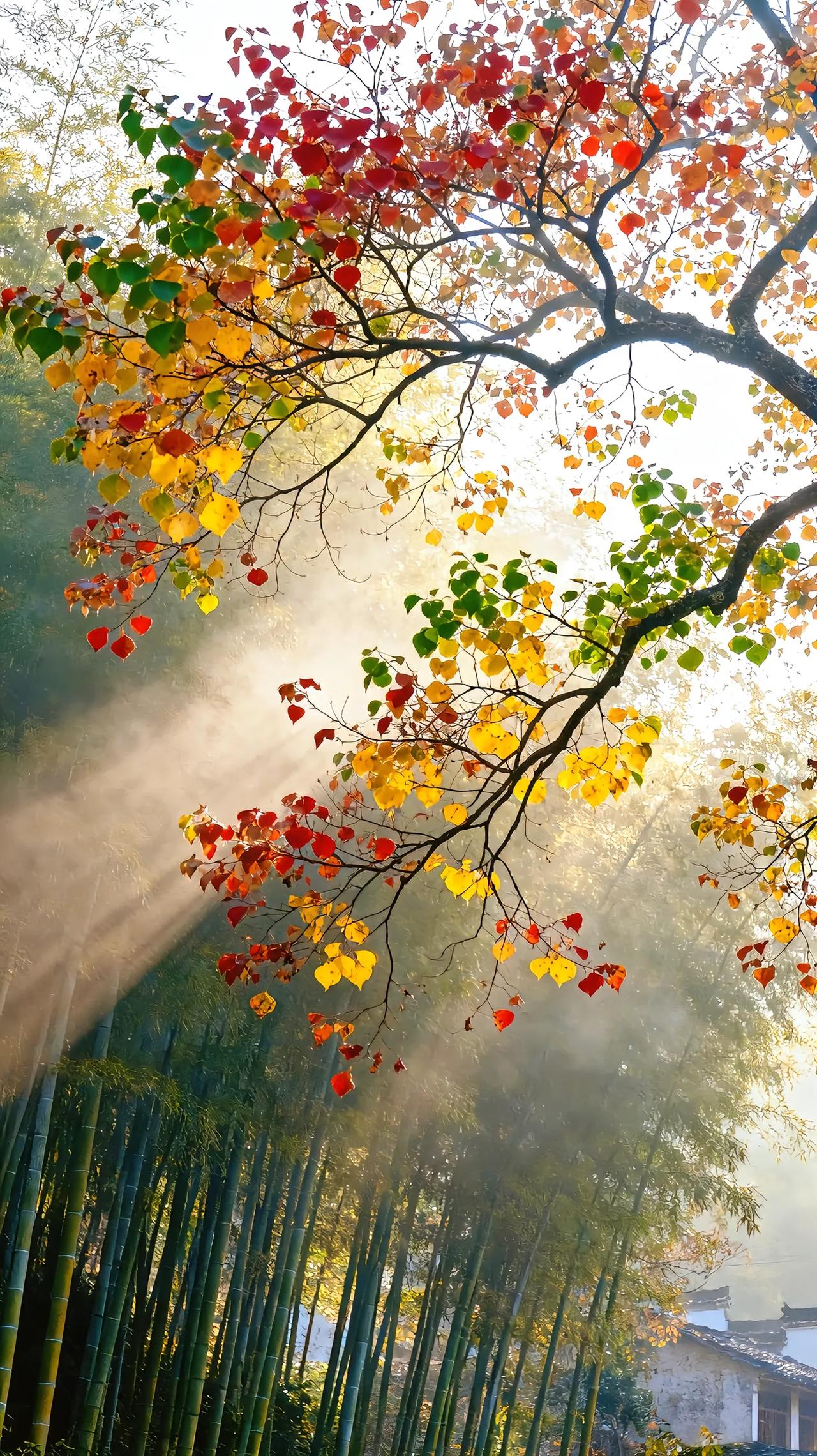 我一个朋友南京大学毕业的，工作也非常好，年薪大概在50个W左右，但是自己的孩子没