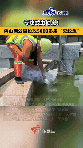 “这招儿太妙了！”7月25日报道，广东佛山就在基孔肯雅热肆虐之际，禅城区竟把公园