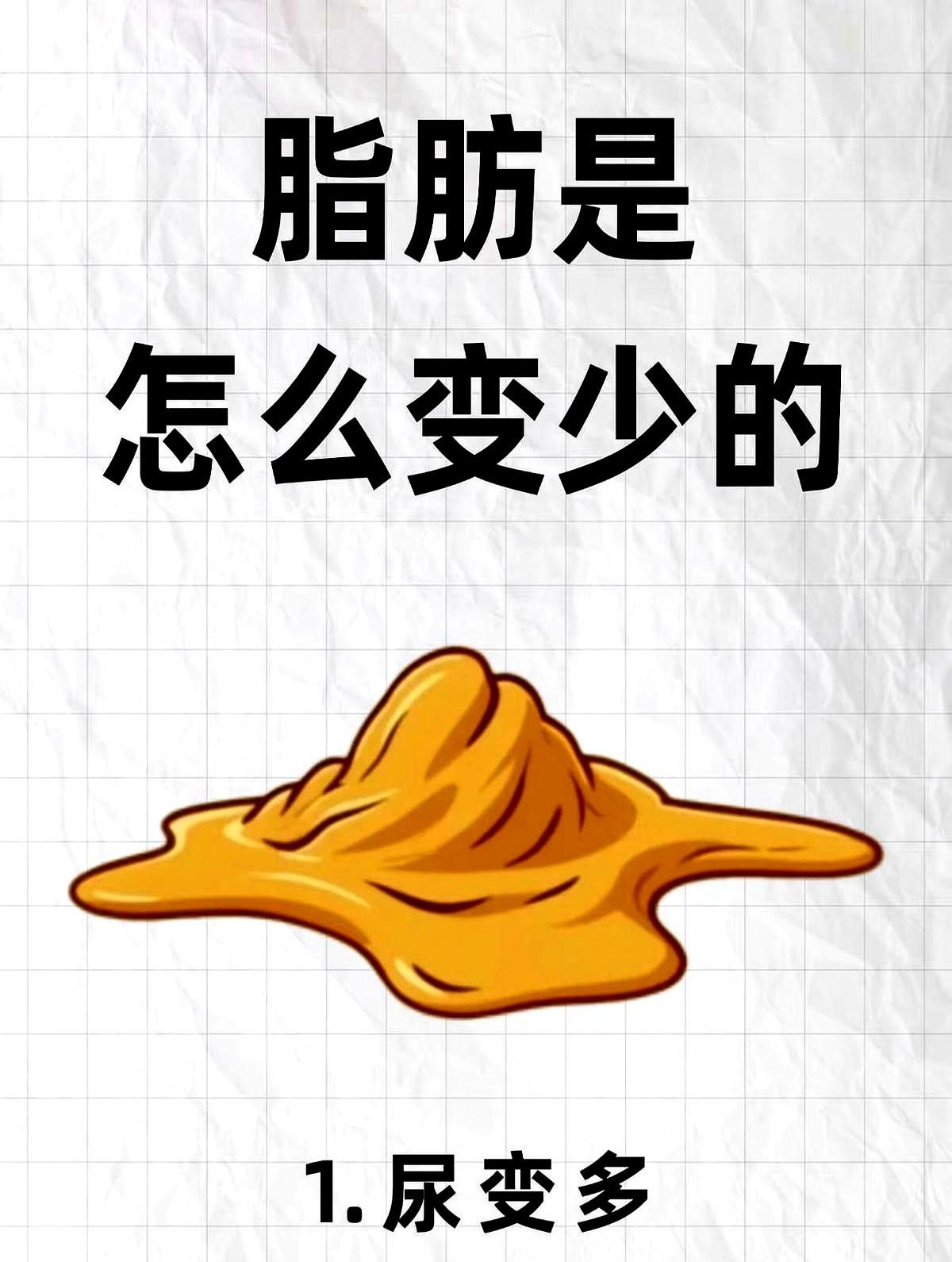 你是不是也曾因为体重秤上的数字，焦虑到想放弃减肥？别被它骗了！那个冰冷的