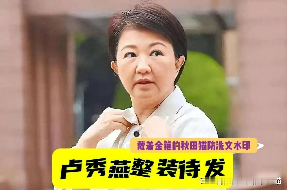卢秀燕飘了？坐个热气球连喊“更上一层楼”，岛内舆论：这哪是祈福，分明是宣战202