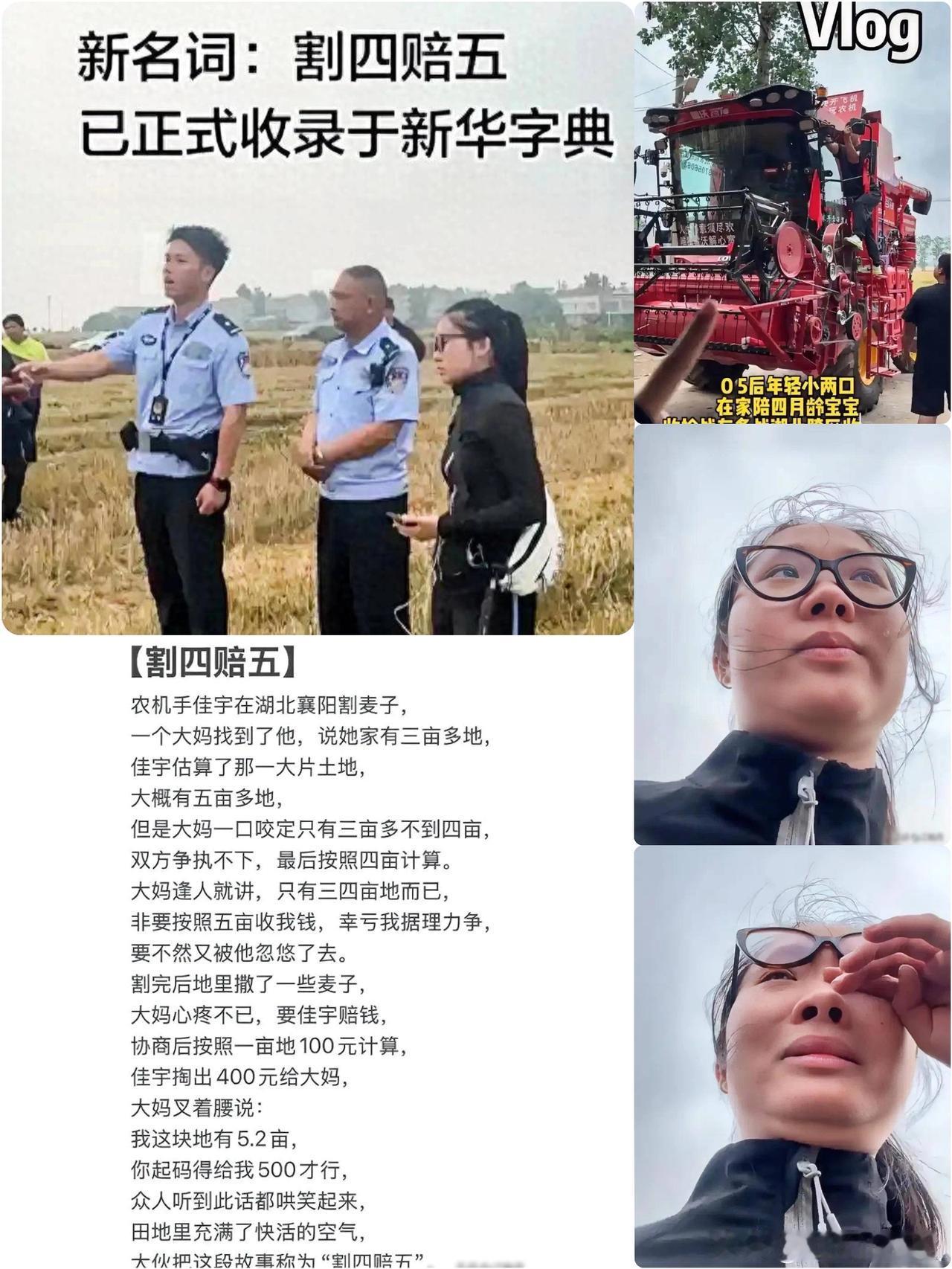 夫妻收麦子反被割四赔五后续：大妈说法前后不一，免工钱还得赔偿！说真的，看