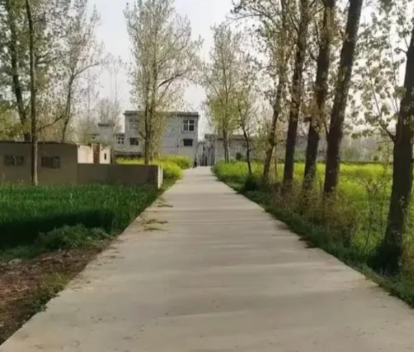 上个月回老家，听说堂弟要结婚，问他酒席定在哪天。他摆摆手：“不办了，领个证，我俩