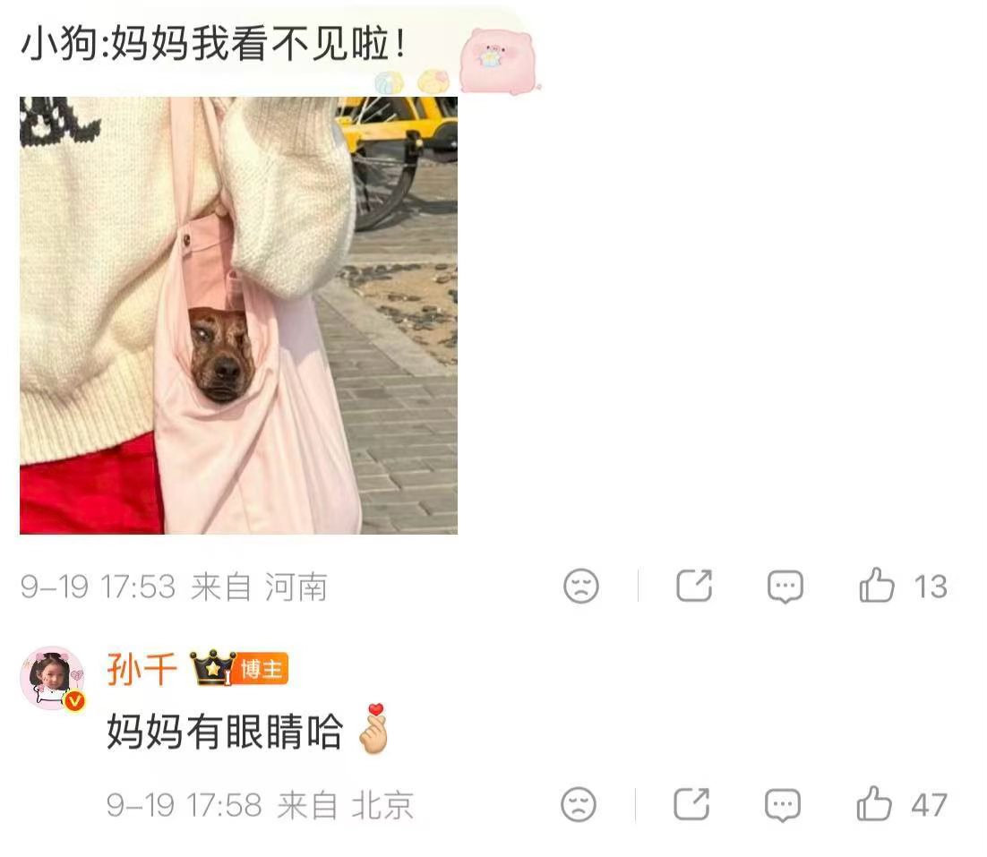 孙千的狗看到啥了谁来管管孙千的狗笑晕了[笑着哭][笑着哭]孙千你但凡管管这只狗呢?