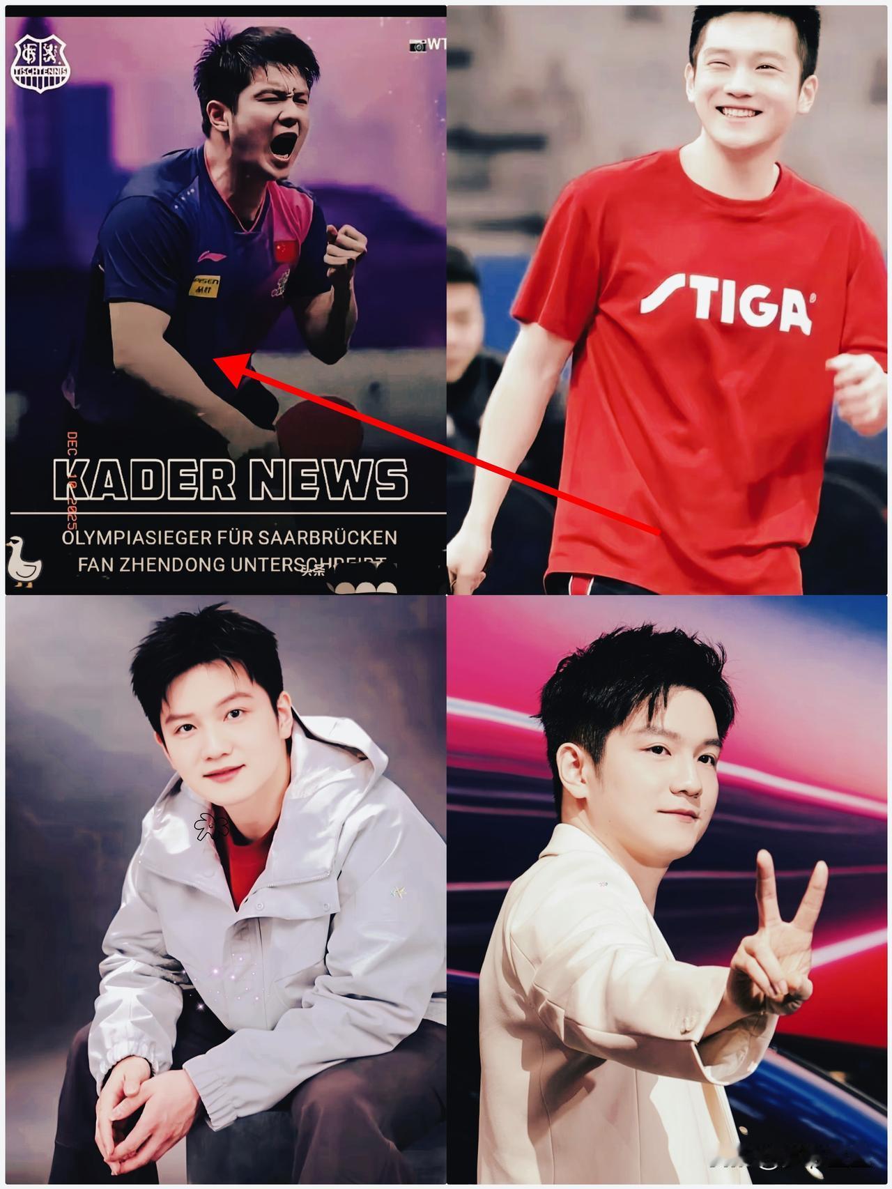 昨晚酒桌上，一位刚从体育口退下来的老前辈喝高了，跟我透了个底：上海给樊振东“记大