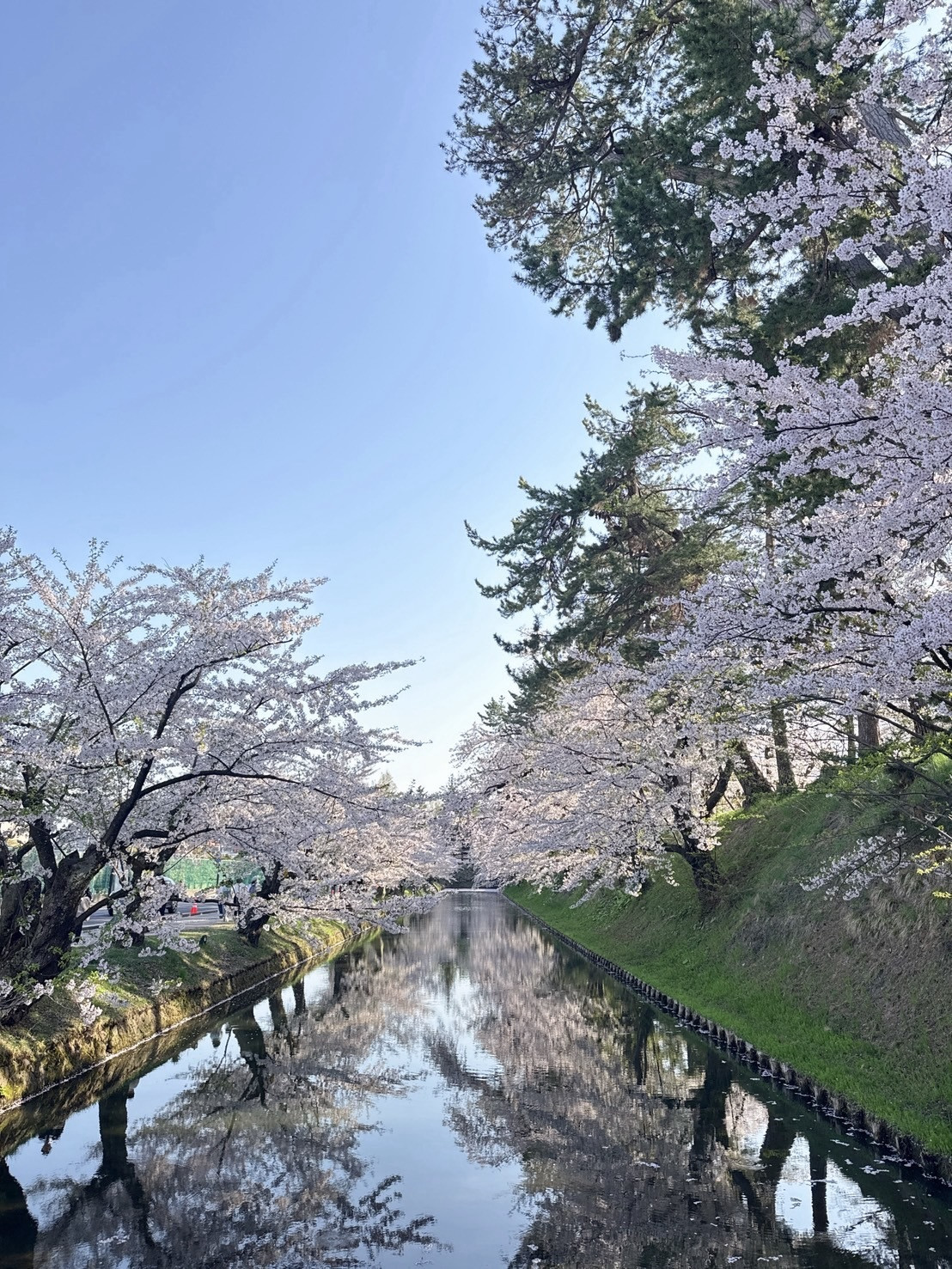 山口陽世「🌸一人旅。初めて写真撮ってもらっていいですか？って聞いた。」haru
