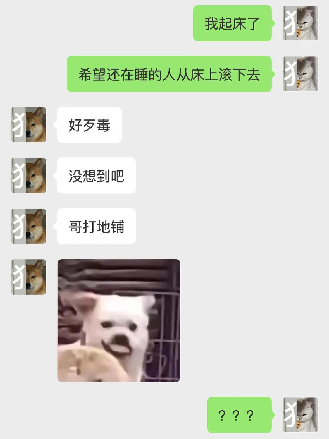 有一个很会接梗的男朋友是种什么体验……​​​