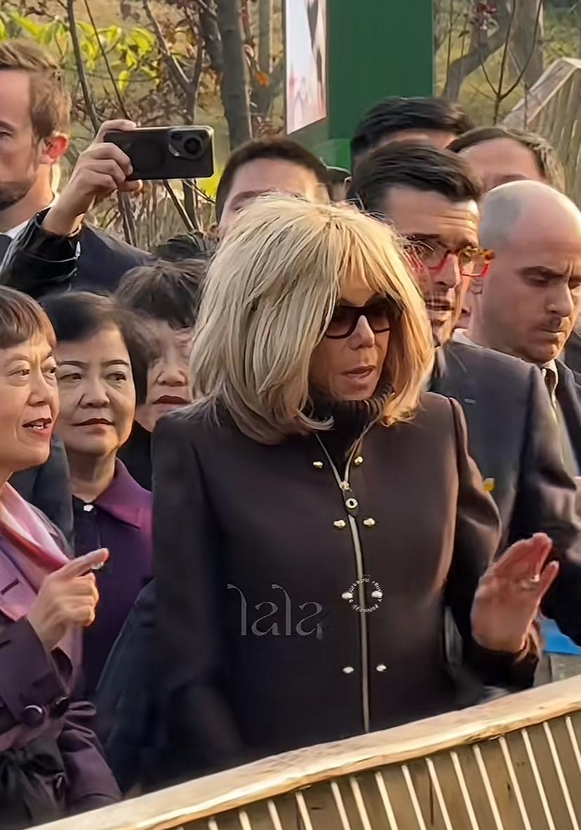 太羡慕这些人了，能够近距离看到马克龙夫人，后面的人使劲往前挤，保镖有点紧张。网友
