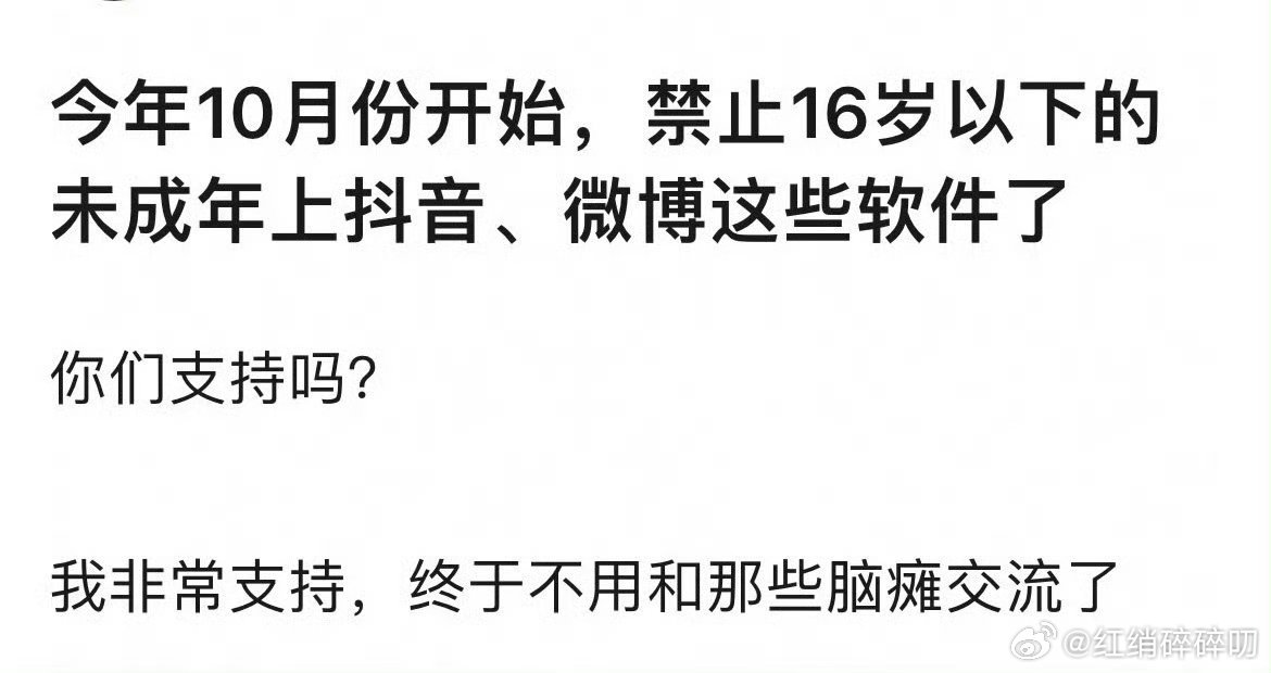 大支持