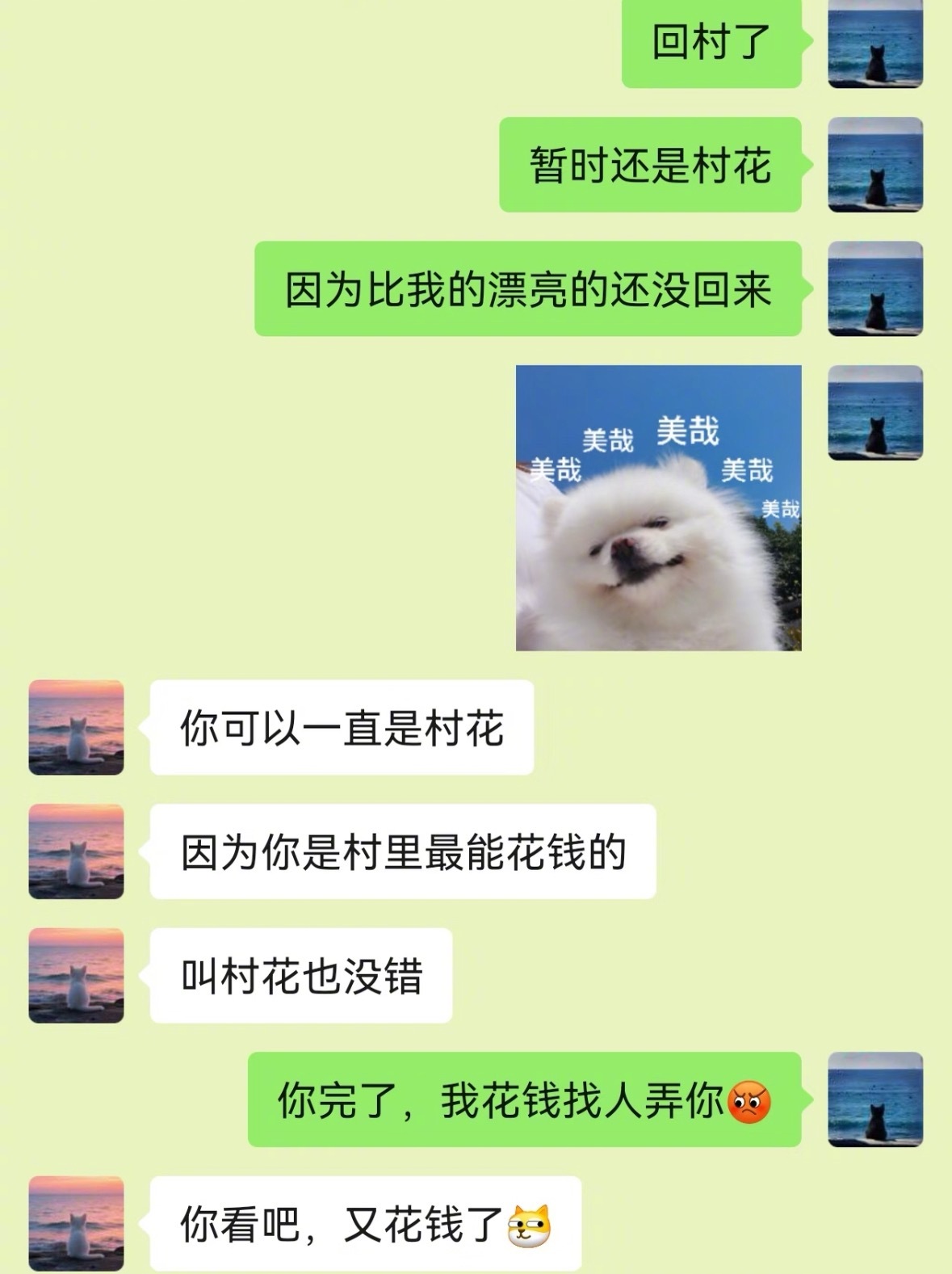 有点阴招全使男朋友身上了