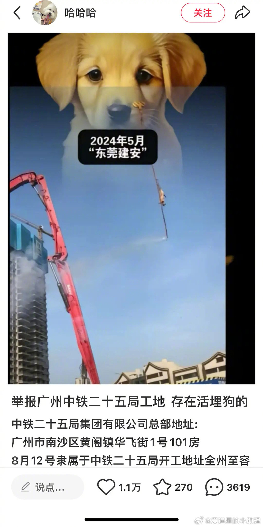 真的假的？活埋🐶祭祀？​​​