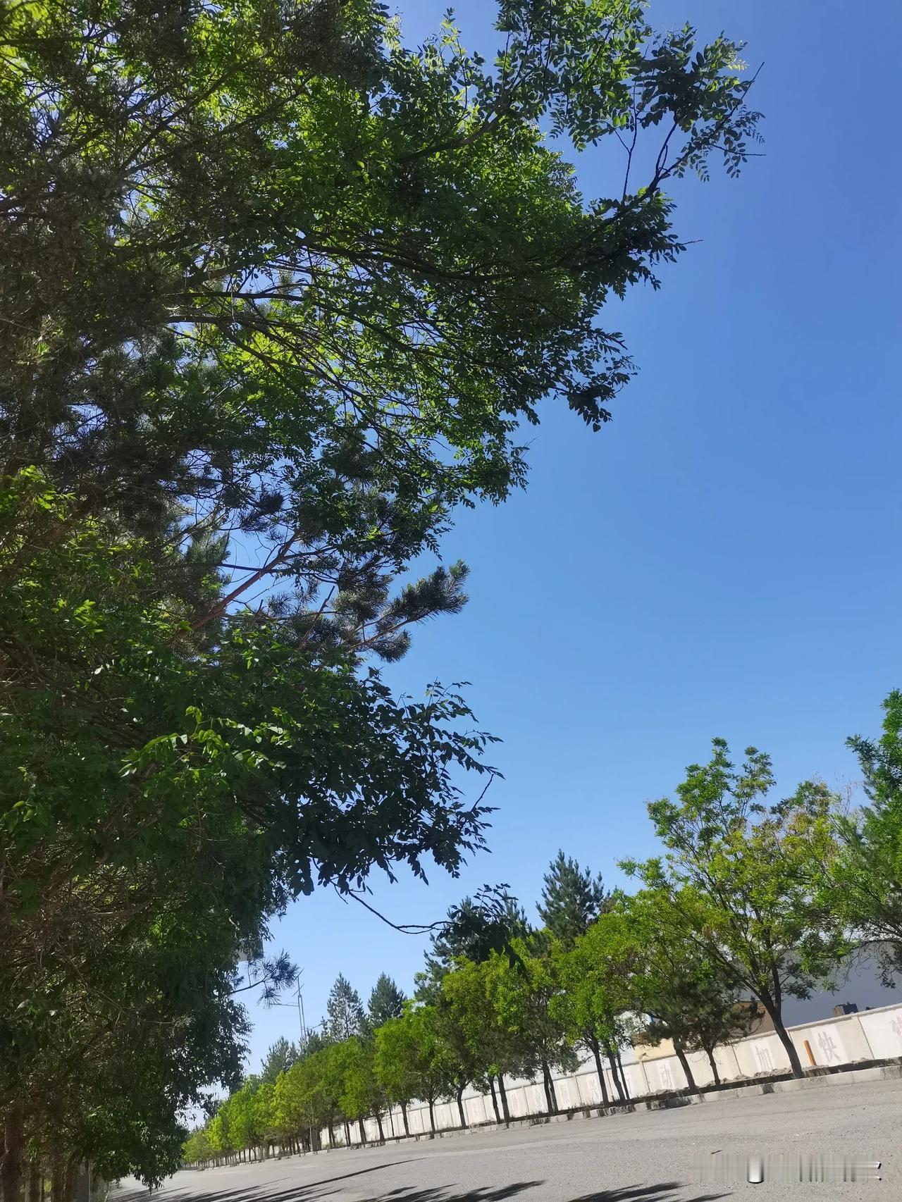 孩子高考完想和同学相约去外地旅游，你会答应吗？孩子刚高考完，说约了两三个同学