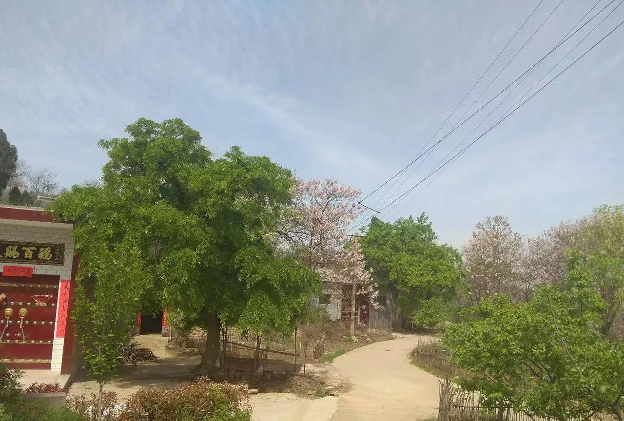 父母在世的时候，自己立下了一条规矩：每年春节都要去拜访探望村子里七十岁以上的老人