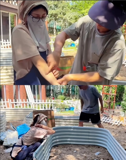 如郑恺所说，苗苗真的好爱折腾！近日苗苗发了一个在自家后院种菜视频，搭框架，