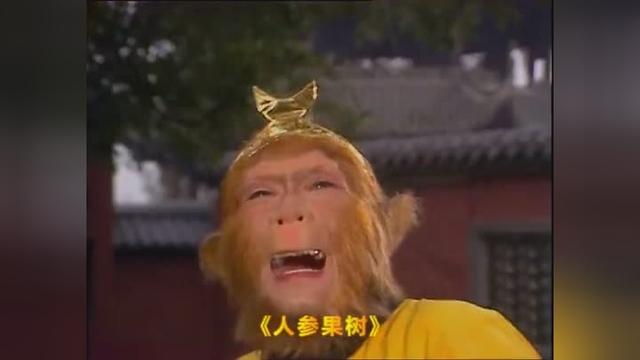 9121291769114184210.jpeg?id=0