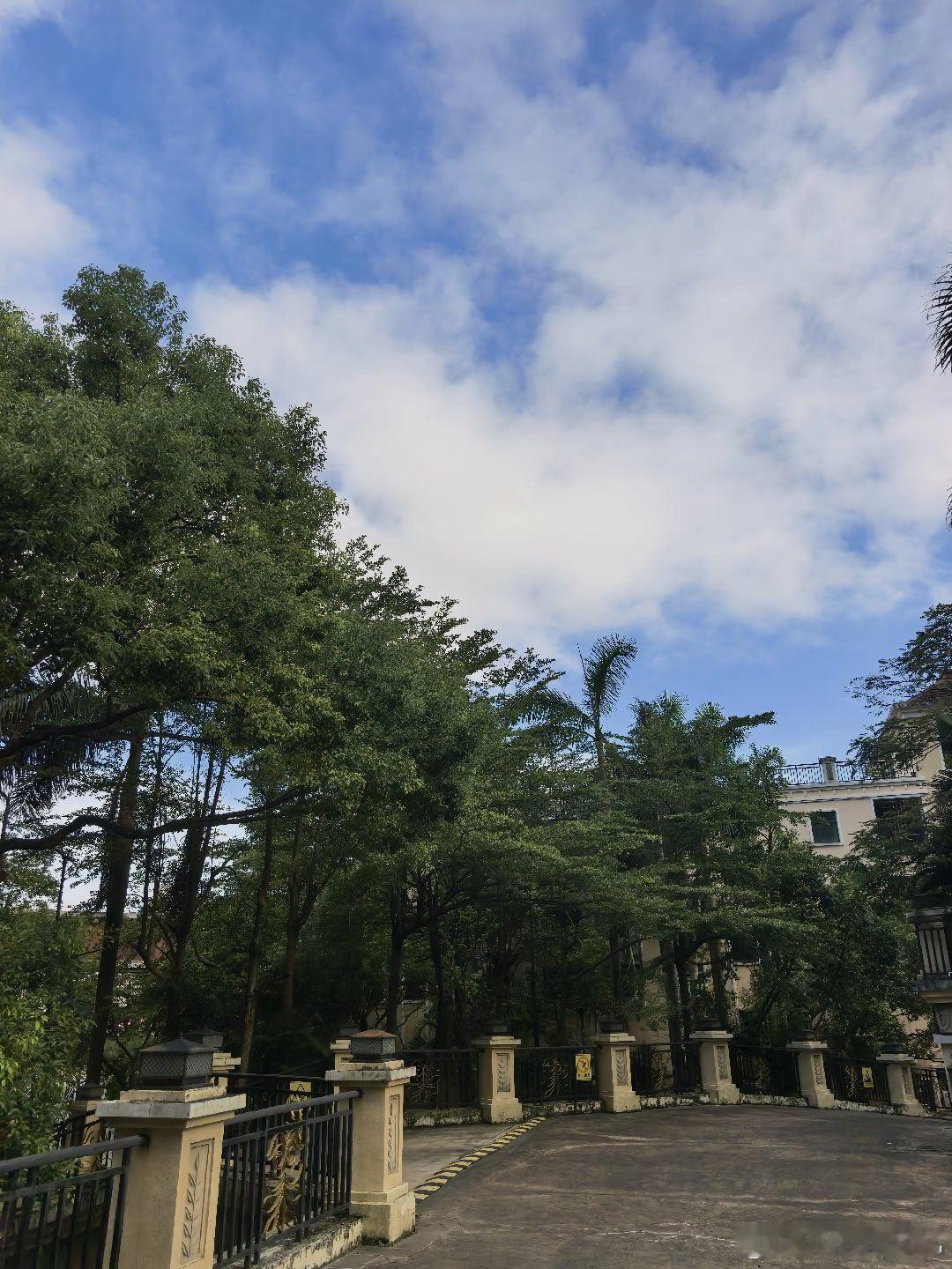小区门外有家小笼包店一直想试一下美团配送费要6块起了个大早走出去买好凉爽呀但是好难吃[裂开]​