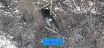 俄军发现乌军第152猎兵旅一个有人的掩体工事，马上安排一架FPV钻入打击。不多久