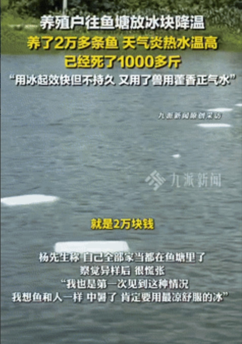 人怎么能这么聪明！”湖南岳阳，一男子有20多亩鱼塘，养了近20000条鱼，但因天