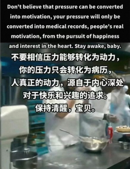 不要被可爱猫猫迷惑了