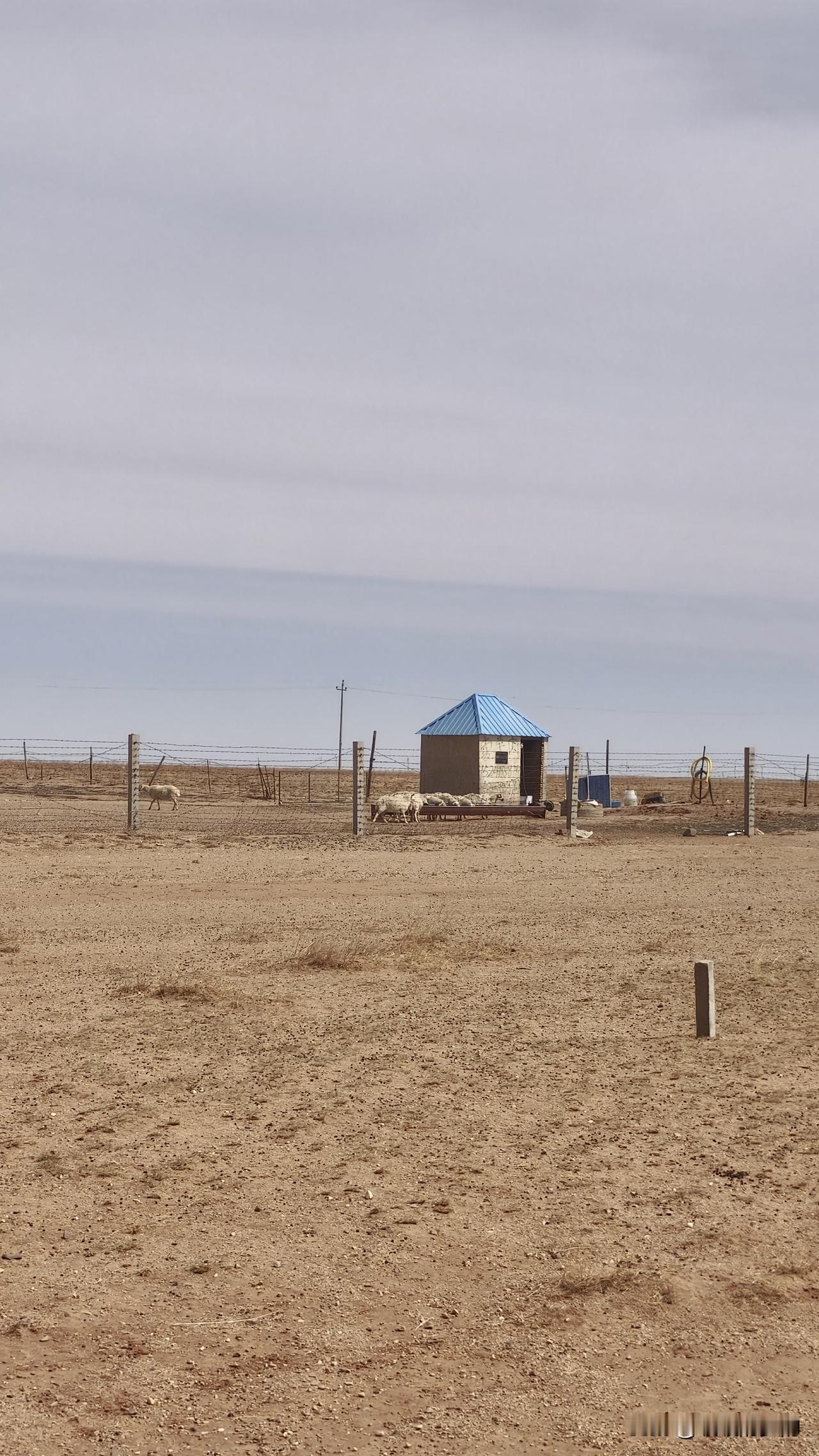 漠北果然和我们想的一样