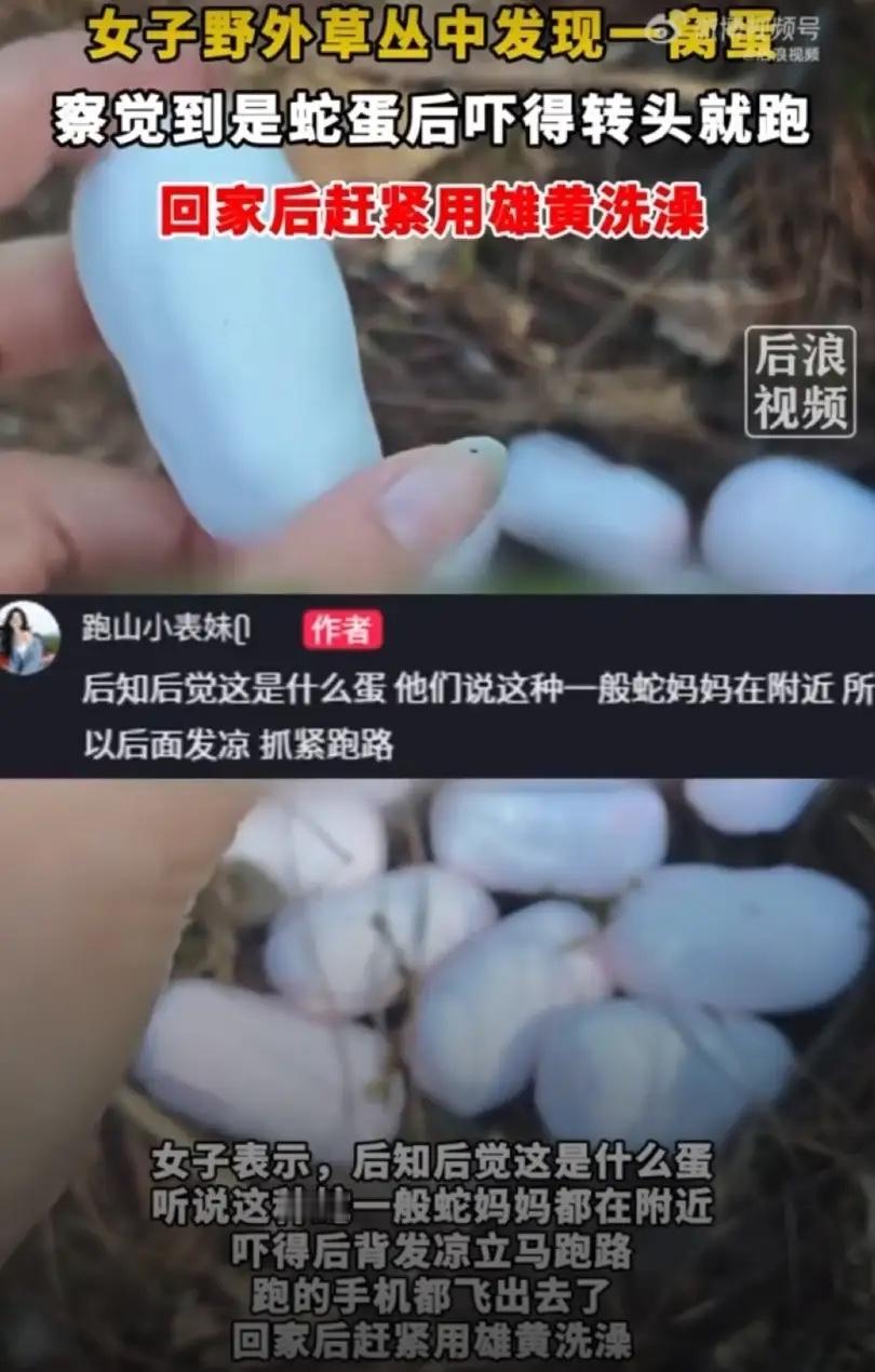 山上的野蛋也敢碰？5月6日浙江，一名女子独自进山爬山，半路发现一窝白色野蛋，毫无